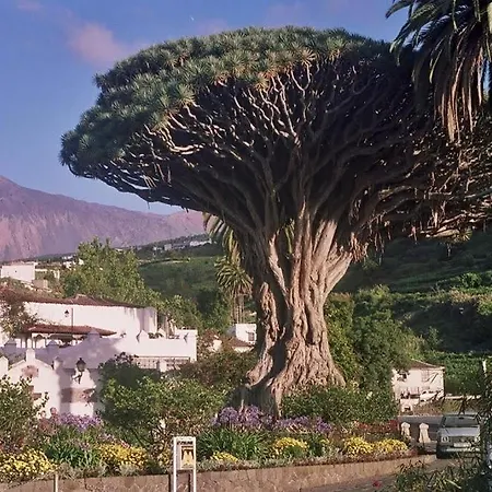 Violeta Holiday home La Laguna (Tenerife)
