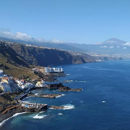 Violeta La Laguna (Tenerife)